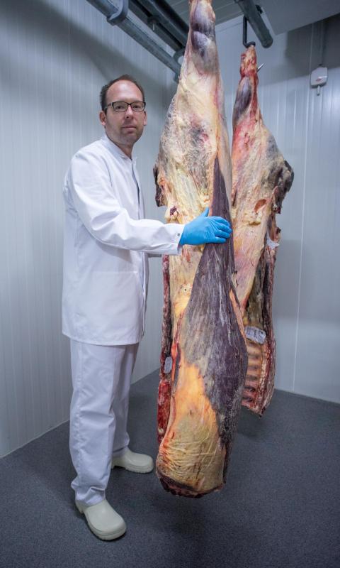 Rindfleisch im Reiferaum - der Fleischsaft fließt ab