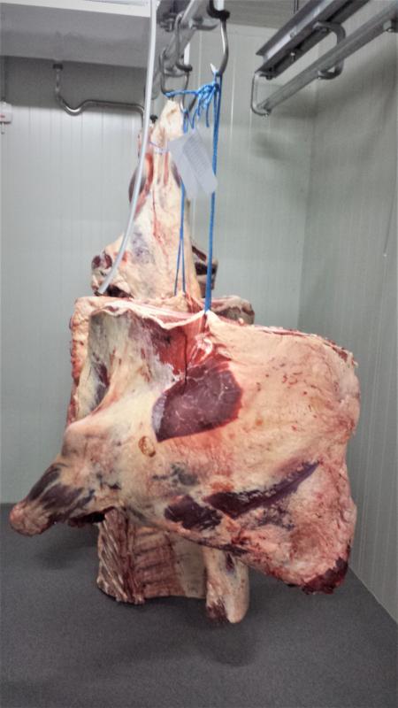 Reiferaum für Rindfleisch - für ein besseres Fleischaroma