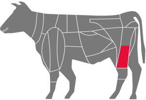 Rinderunterschale beim Rind Rinderunterschale beim Rind