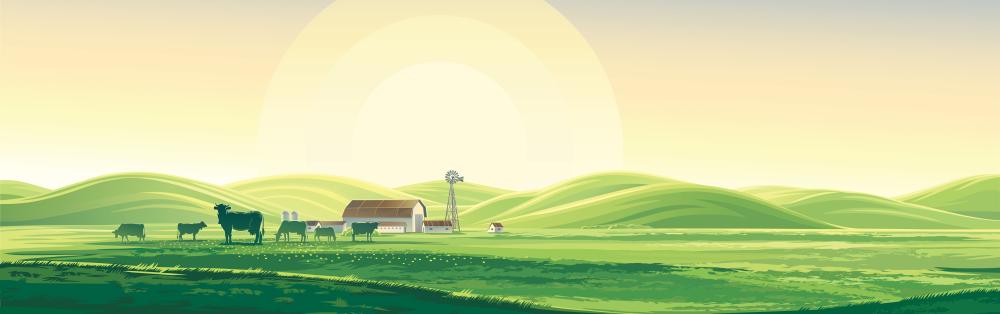 Wagyufarm